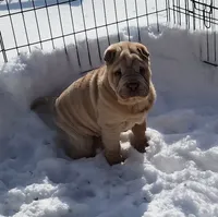 processed/8646d7c1-7846-4500-8033-7c67e9d8f43e/listing/bad7894a-54f5-42ea-b998-4c9df17090d5/e39de835-46f9-4950-82c6-1a206a640886