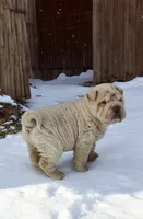 processed/8646d7c1-7846-4500-8033-7c67e9d8f43e/listing/cd83d7b2-8459-41bd-86c6-f43d0e6fd0ac/52992481-9cab-4b49-abc7-31fcfcd39c6c