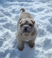 processed/8646d7c1-7846-4500-8033-7c67e9d8f43e/listing/cd83d7b2-8459-41bd-86c6-f43d0e6fd0ac/5cfc16c1-7cc9-4ba7-863e-3c5cab764ce3