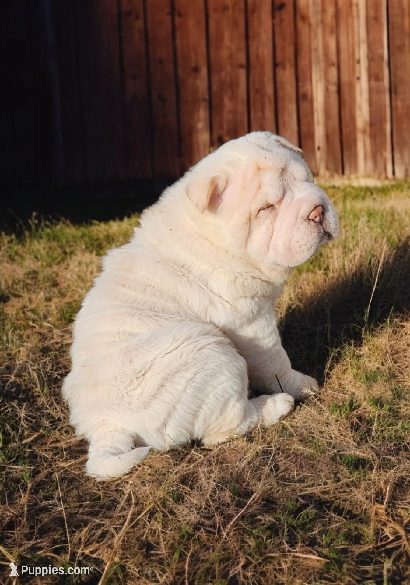 processed/8646d7c1-7846-4500-8033-7c67e9d8f43e/listing/cd83d7b2-8459-41bd-86c6-f43d0e6fd0ac/896a231f-af41-47c8-b698-acbda2cb305b