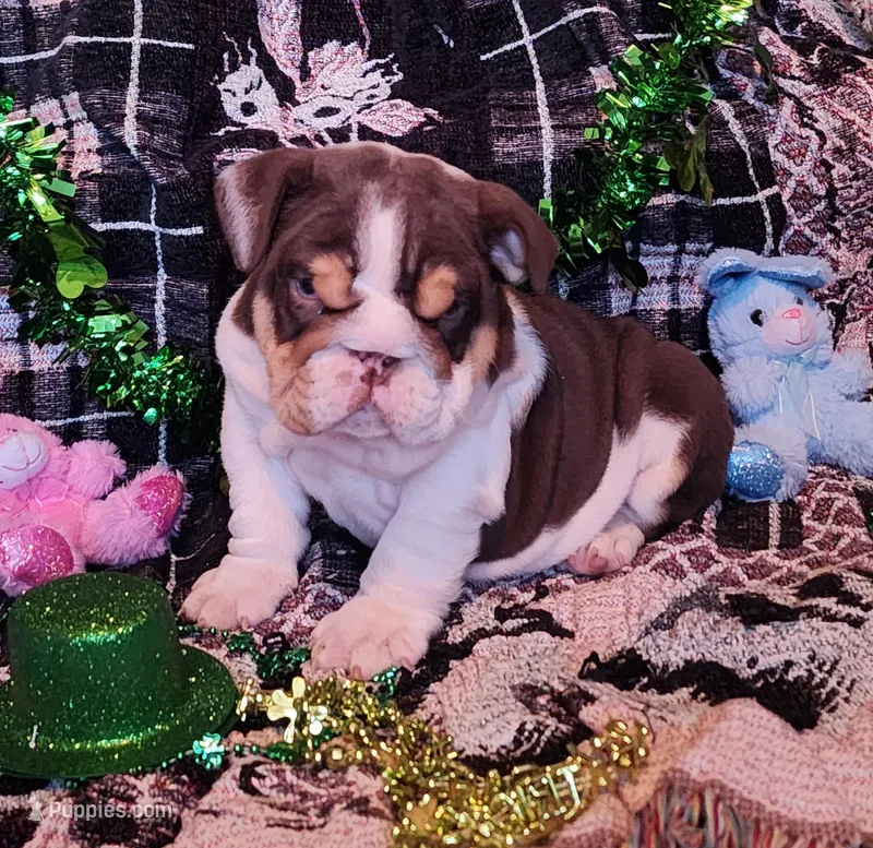 Snickers health clear 