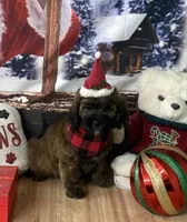 processed/86491740-83c9-4eb0-9b5c-a99c2e3d6e99/listing/25f56a97-abf4-4a27-9470-5f2fc6072d43/8b15eaf4-24be-4e1d-98ab-ca44e861bbb6