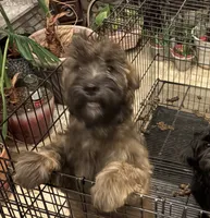 processed/86491740-83c9-4eb0-9b5c-a99c2e3d6e99/listing/25f56a97-abf4-4a27-9470-5f2fc6072d43/ecd9c142-0105-4d1a-acb2-183cc7bbf96e