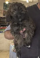 processed/86491740-83c9-4eb0-9b5c-a99c2e3d6e99/listing/25f56a97-abf4-4a27-9470-5f2fc6072d43/f169da23-af81-4482-8396-f08d1d8e5130