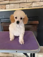 processed/8649b137-36e3-410c-b890-e0e5dfbb59d1/listing/2ed93d1f-d853-4389-aeba-715e91423a9b/0c47f877-8f95-480a-bae1-82f475295d3d