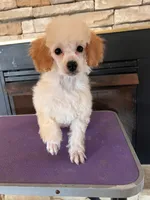 processed/8649b137-36e3-410c-b890-e0e5dfbb59d1/listing/2ed93d1f-d853-4389-aeba-715e91423a9b/3f86b2d9-1780-4e55-bed7-11491c4ac456