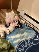 processed/86524b56-e396-4339-be2c-91ef09812c70/listing/d51725a4-4962-4ffd-a348-f2c6b3cde137/2144f45a-14ee-4dc7-85ba-09c72cb32577