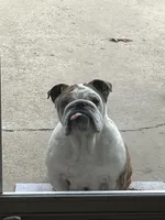 processed/86524b56-e396-4339-be2c-91ef09812c70/listing/d51725a4-4962-4ffd-a348-f2c6b3cde137/4e58f3d0-8cfa-47d0-8f56-a0027a1d0a8d