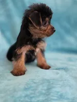 processed/865a570e-baef-45ed-ab30-080df62e038b/listing/5f25594d-3ad5-460f-a7fa-c536b8df353e/a96bff48-0b50-4f66-b265-5b4c1e005e75