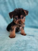 processed/865a570e-baef-45ed-ab30-080df62e038b/listing/5f25594d-3ad5-460f-a7fa-c536b8df353e/e6680993-0290-489e-9110-6dcfc09fc3bd