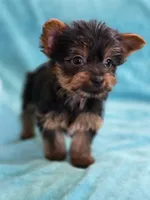 processed/865a570e-baef-45ed-ab30-080df62e038b/listing/cb0b6db4-edfe-49c6-a549-52527b356100/b04993b5-25de-4d31-824b-f2b82c0fbc41