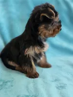 processed/865a570e-baef-45ed-ab30-080df62e038b/listing/dbc8d708-318f-47eb-8c83-e31c9cff2689/21c9b25f-8e2a-44af-9d3b-d630c45f94a9