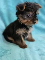 processed/865a570e-baef-45ed-ab30-080df62e038b/listing/dbc8d708-318f-47eb-8c83-e31c9cff2689/6ae50db3-25a4-42eb-bf7a-f79cf9ba4003