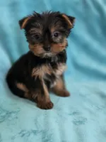 processed/865a570e-baef-45ed-ab30-080df62e038b/listing/dbc8d708-318f-47eb-8c83-e31c9cff2689/d326b46b-35c9-4105-aad0-5c0f4e8f0f97