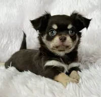 processed/8661c322-e6a5-473e-8f4e-46d4492a9ac3/listing/2a3e5146-0ec3-4525-87d4-ffde848a1070/2574b693-539d-49f6-ba21-2b0ba0f2689a