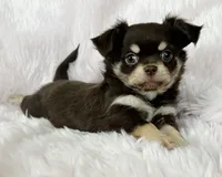 processed/8661c322-e6a5-473e-8f4e-46d4492a9ac3/listing/2a3e5146-0ec3-4525-87d4-ffde848a1070/261af239-bb13-4440-a893-92d29a0f3e36