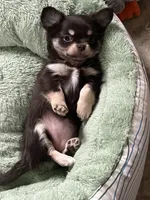 processed/8661c322-e6a5-473e-8f4e-46d4492a9ac3/listing/2a3e5146-0ec3-4525-87d4-ffde848a1070/3289697e-eb3c-4717-a384-8016a9c5120f