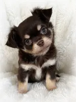 processed/8661c322-e6a5-473e-8f4e-46d4492a9ac3/listing/2a3e5146-0ec3-4525-87d4-ffde848a1070/83761cd7-29fc-4c9f-959b-aa4660836d30