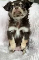 processed/8661c322-e6a5-473e-8f4e-46d4492a9ac3/listing/2a3e5146-0ec3-4525-87d4-ffde848a1070/ba84d670-0780-483e-b5d7-53d39b1544a7