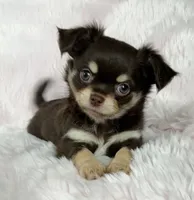 processed/8661c322-e6a5-473e-8f4e-46d4492a9ac3/listing/2a3e5146-0ec3-4525-87d4-ffde848a1070/e899962d-1631-4040-97eb-8744f86d0a32