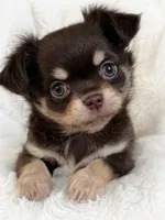 processed/8661c322-e6a5-473e-8f4e-46d4492a9ac3/listing/2a3e5146-0ec3-4525-87d4-ffde848a1070/f728aa00-6510-42ef-91b3-433d4c48738f