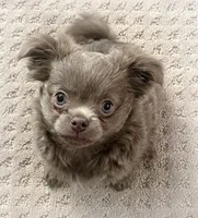 processed/8661c322-e6a5-473e-8f4e-46d4492a9ac3/listing/7cf13591-de95-4d38-b77e-6c7bfbf95e11/2b252b94-8c18-4705-ac55-b9da24d265cf