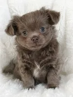 processed/8661c322-e6a5-473e-8f4e-46d4492a9ac3/listing/7cf13591-de95-4d38-b77e-6c7bfbf95e11/6bb442df-c564-4ae6-8173-01fb51b635c9