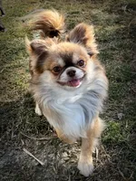 processed/8661c322-e6a5-473e-8f4e-46d4492a9ac3/listing/7cf13591-de95-4d38-b77e-6c7bfbf95e11/9fbb4420-c20f-4c13-b33c-d54ada50440d