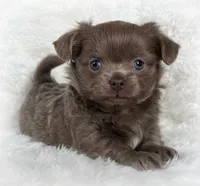 processed/8661c322-e6a5-473e-8f4e-46d4492a9ac3/listing/7cf13591-de95-4d38-b77e-6c7bfbf95e11/c3d2f700-dc22-4956-841a-2399eda4de5d