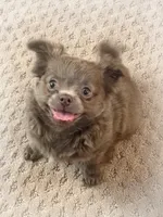 processed/8661c322-e6a5-473e-8f4e-46d4492a9ac3/listing/7cf13591-de95-4d38-b77e-6c7bfbf95e11/cd672e67-f076-44fd-bf7c-e70b9929e62d