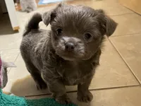 processed/8661c322-e6a5-473e-8f4e-46d4492a9ac3/listing/7cf13591-de95-4d38-b77e-6c7bfbf95e11/ef5cda33-33c5-40ef-8bd4-917b32bcd785