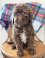 processed/86632bcf-01be-4714-8a86-bfa3d5de667b/listing/c8b9250b-f7c9-4a2f-9ed8-74326292c8c5/1372a480-17d3-4d54-a8e5-a4f7711ae22a