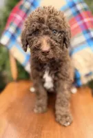 processed/86632bcf-01be-4714-8a86-bfa3d5de667b/listing/c8b9250b-f7c9-4a2f-9ed8-74326292c8c5/1bc0603a-df44-4eef-81d8-6a9d5dbaf369