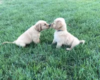 processed/86686659-fafc-407a-8616-980072dcfca3/facility/7cf86f45-6b97-4b6b-9c9d-0ac4fc90c3d7