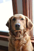 processed/86686659-fafc-407a-8616-980072dcfca3/facility/9a0a040f-d0fc-4eee-aec2-a984c437848c