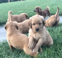 processed/86686659-fafc-407a-8616-980072dcfca3/facility/ab2def30-cb16-4574-a747-20f95f7bf85c