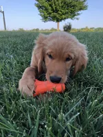 processed/86686659-fafc-407a-8616-980072dcfca3/facility/f7a0e629-3bd0-4377-81f3-d7cf59b5246a