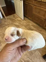 processed/8669382d-9ebc-4d65-8013-e0209ce1e138/listing/c420218b-4745-474f-a63c-e74d6004c13b/0bd07b06-8e91-4013-8217-205f23125b2d