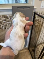 processed/8669382d-9ebc-4d65-8013-e0209ce1e138/listing/c420218b-4745-474f-a63c-e74d6004c13b/279dc0f9-da04-44e6-8eef-d472c158ae52