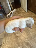 processed/8669382d-9ebc-4d65-8013-e0209ce1e138/listing/c420218b-4745-474f-a63c-e74d6004c13b/28f007ca-030a-454a-8f5b-d62f8d652e88