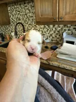 processed/8669382d-9ebc-4d65-8013-e0209ce1e138/listing/c420218b-4745-474f-a63c-e74d6004c13b/4d502efc-89a3-49c0-aa29-4fd183967468