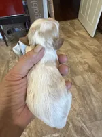 processed/8669382d-9ebc-4d65-8013-e0209ce1e138/listing/c420218b-4745-474f-a63c-e74d6004c13b/a3c59697-87dd-4e18-9287-0e73724d853b