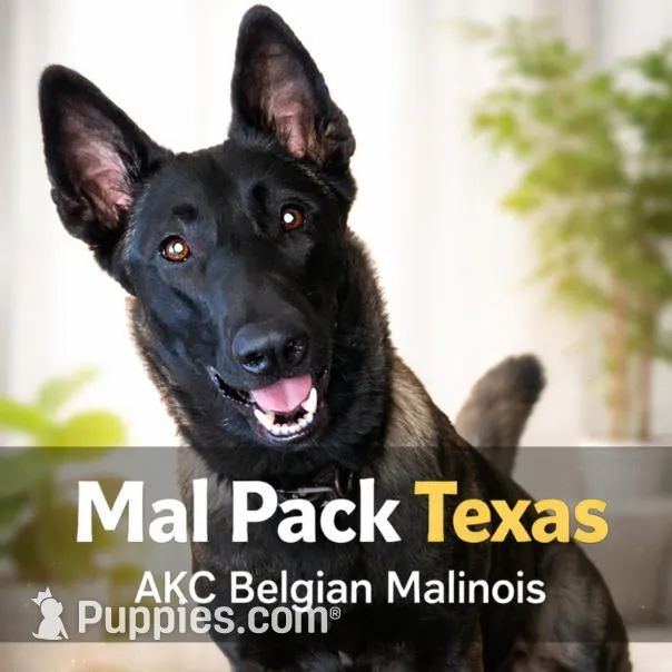 processed/86774d37-6061-404e-9c11-a6815749ad9b/facility/1b6afec4-3605-4fd7-888f-11fd799b5714