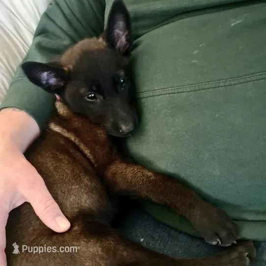 processed/86774d37-6061-404e-9c11-a6815749ad9b/facility/6c1b3b09-1742-49ae-b5b4-caf5be6c2904