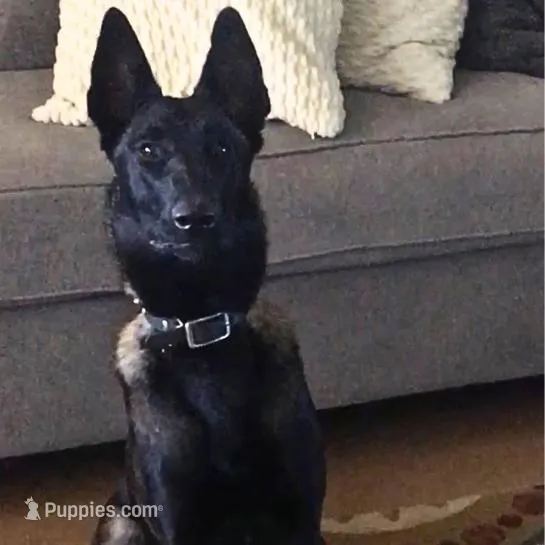 processed/86774d37-6061-404e-9c11-a6815749ad9b/facility/927814f5-62e7-4275-87c4-4a85a3c861bb