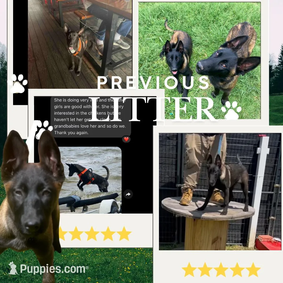 processed/86774d37-6061-404e-9c11-a6815749ad9b/facility/cfb81aee-0eff-4f62-ad60-fc2fee1bfc3f