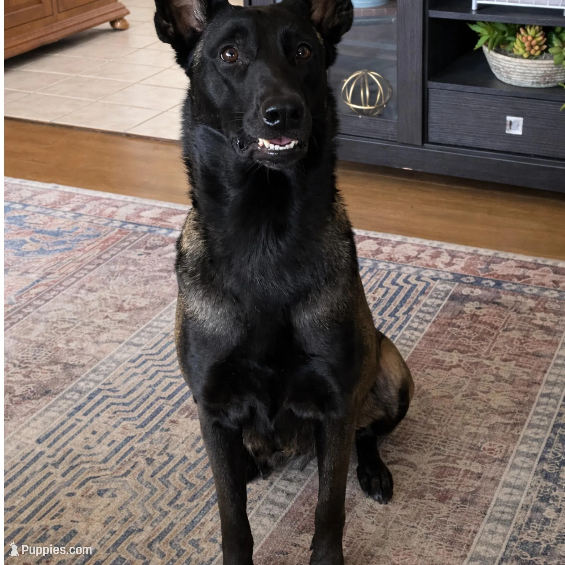 processed/86774d37-6061-404e-9c11-a6815749ad9b/facility/e684d7cb-fbd8-4962-94f9-c58ba23c5fdc