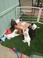 processed/8681563b-1fb1-4367-89e4-85e681e6261d/facility/47c96656-0215-4aa6-93dc-f59499f56de0