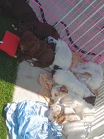 processed/8681563b-1fb1-4367-89e4-85e681e6261d/facility/83815415-afea-418f-9c75-a9030bae888f