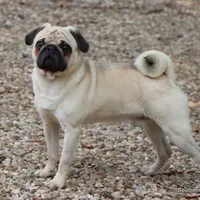 processed/86841252-d96f-490d-830f-8708d3f4c4ea/facility/32151e7b-5832-4285-8312-e31ee091da4b